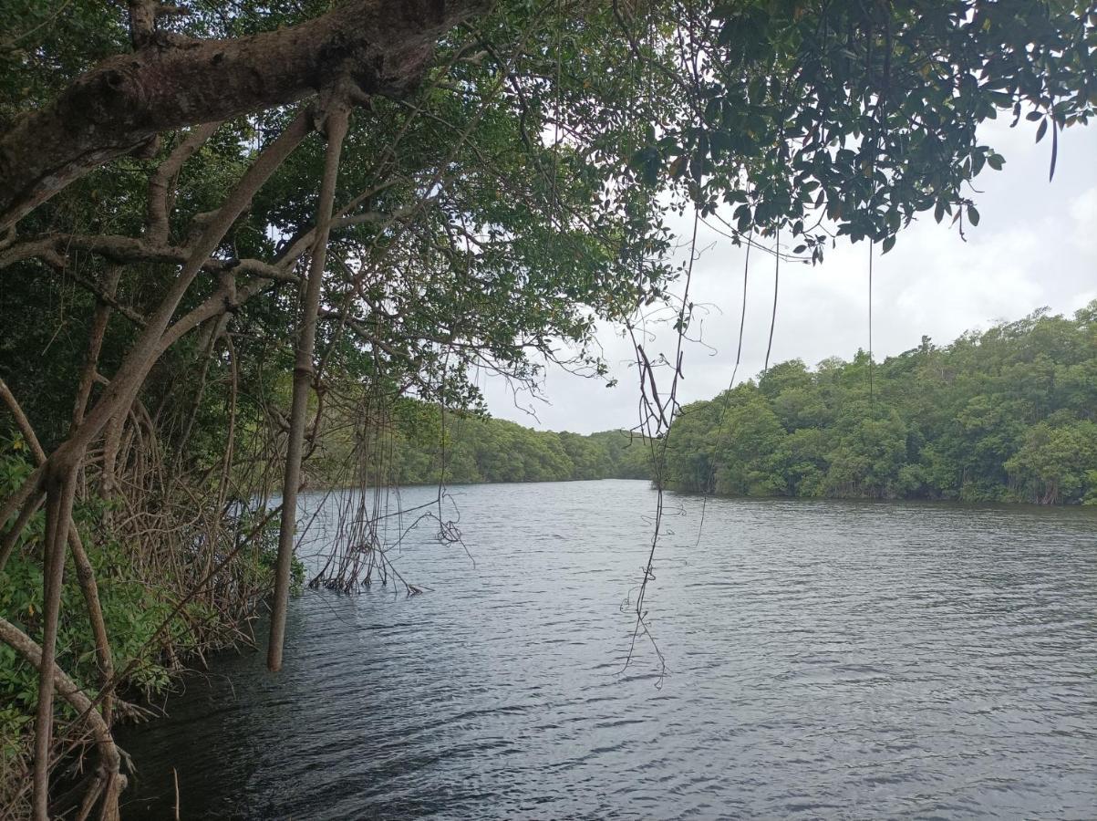 Kaz'Detente, Marie Galante, Plage Kawann Grand-Bourg  Exterior foto