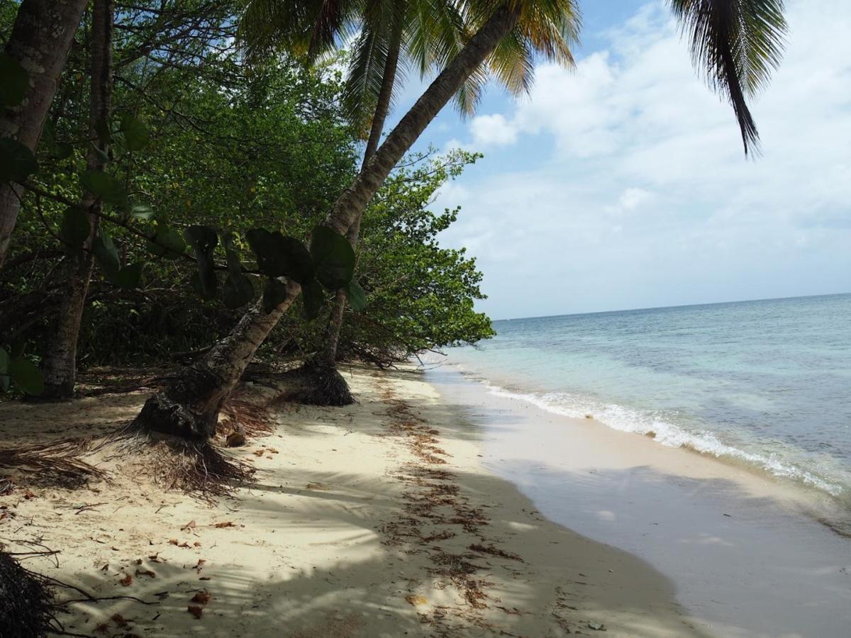 Kaz'Detente, Marie Galante, Plage Kawann Grand-Bourg  Exterior foto